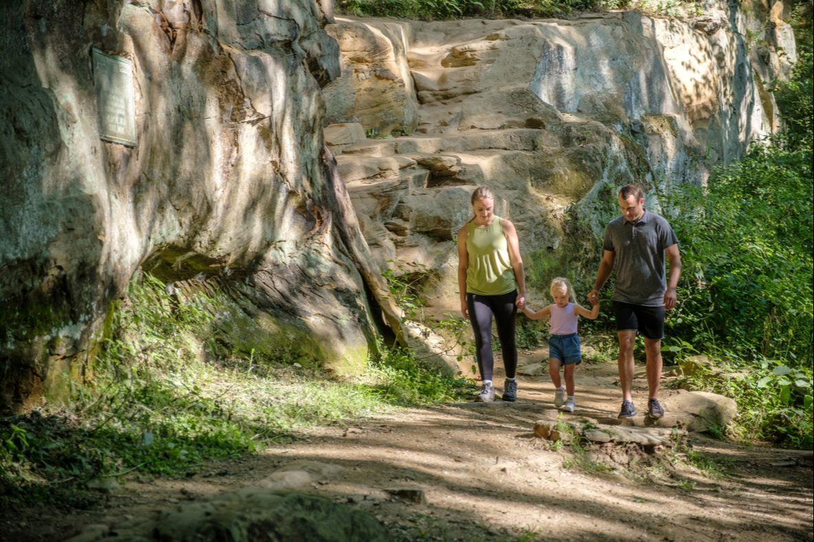 Wildcat Den Family 2