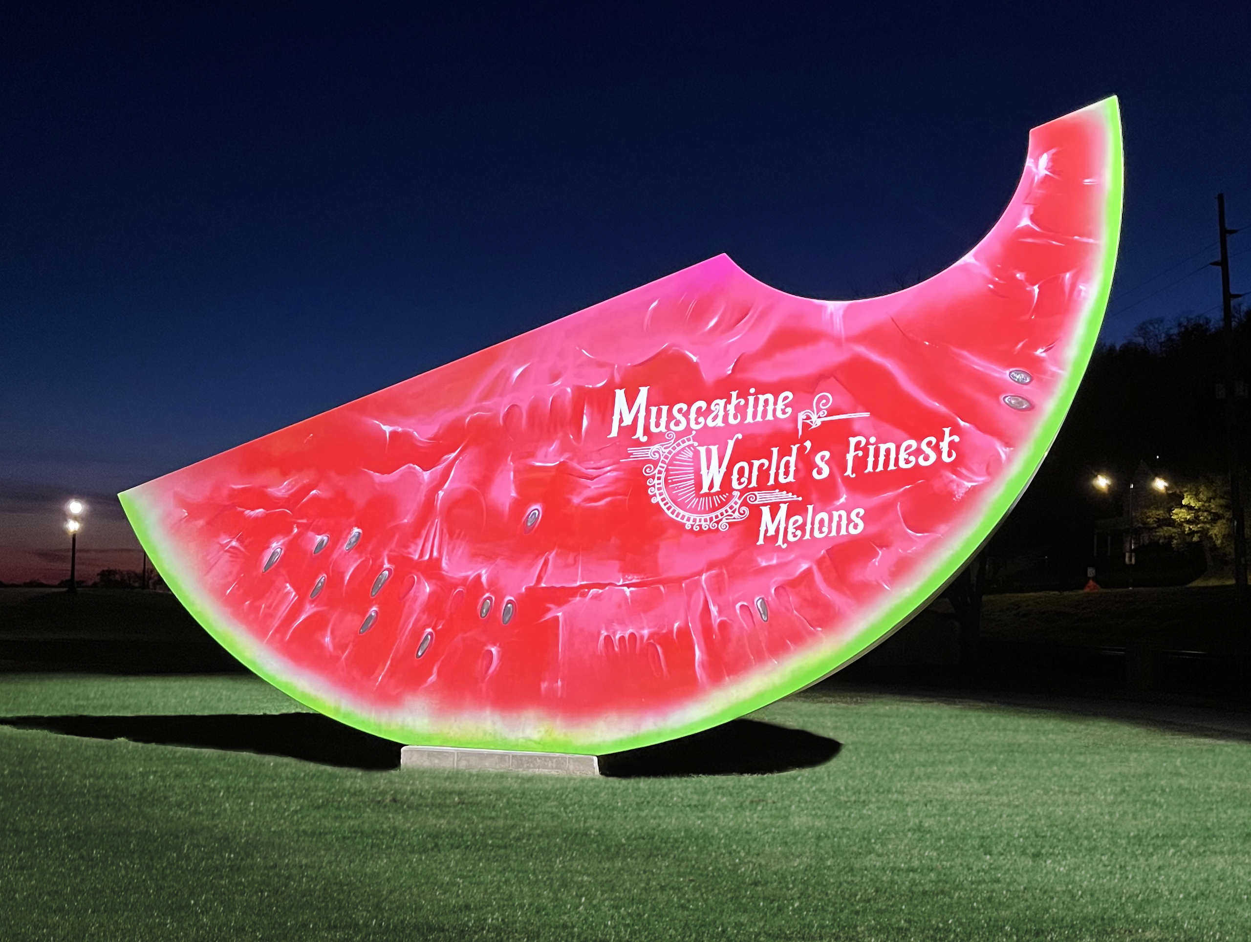 IMG_0815 copy - cropped